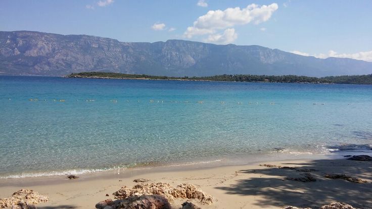 5890m2 Riverside With Great Potential - 41
