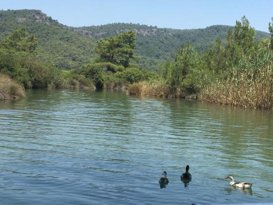 5890m2 Riverside With Great Potential - 3