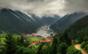 Urban vs. Rural Real Estate in Türkiye: Which Should You Choose?