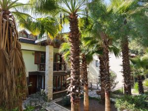 Mansion For Price of Small Villa