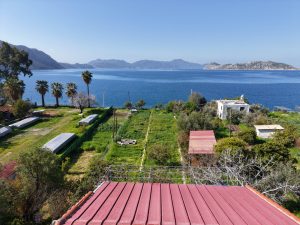 Beachfront Piece Of Paradise..!