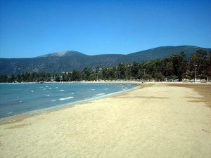 Beachfront Luxury Nestled In Forest