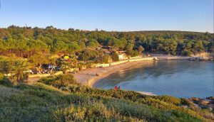 5 Star Luxury On A Peninsula