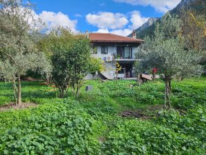 Large Plot Within Village Zoning